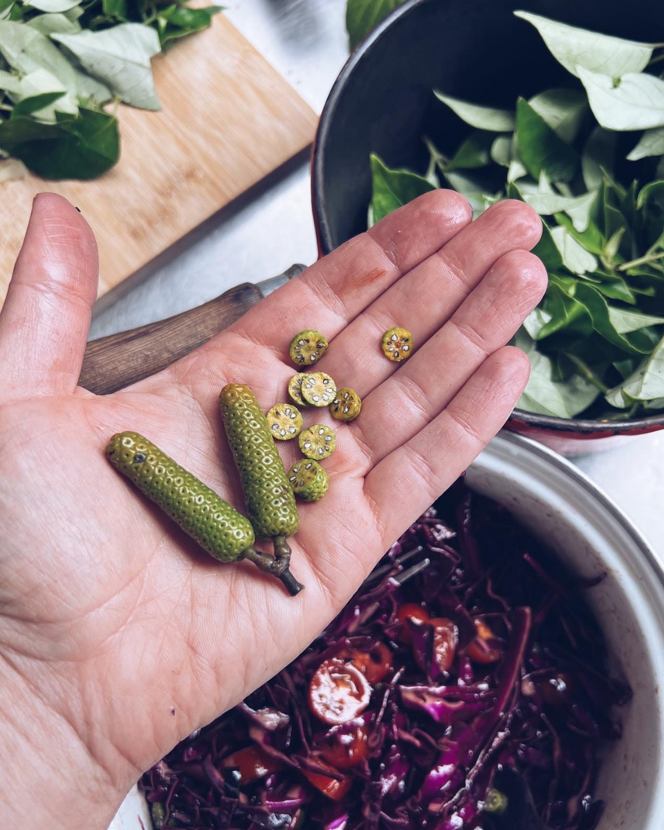 Kawakawa Berries & Flowers – Homegrown Botanica