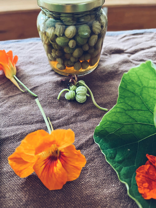 Pickled Nasturtium Seedpods