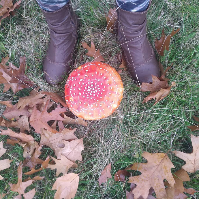 Amanita Muscaria - Toxic