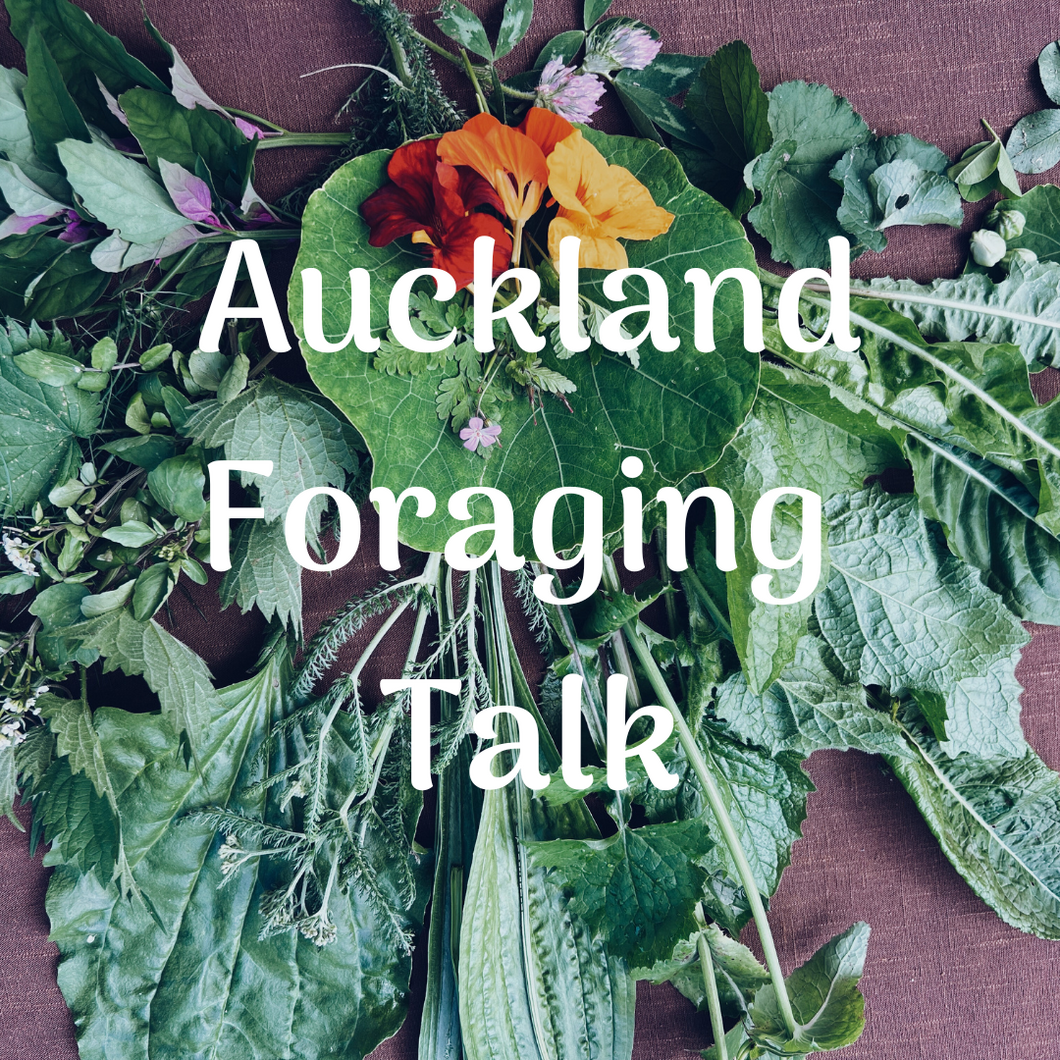 Auckland Ecofest Foraging Talk