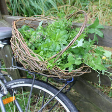 Load image into Gallery viewer, Bespoke Foraging Session - Private Group - Homegrown Botanica
