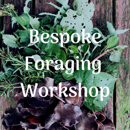 Bespoke Foraging Session - Private Group - Homegrown Botanica