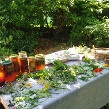 Load image into Gallery viewer, Bespoke Foraging Session - Private Group - Homegrown Botanica
