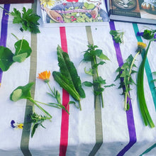 Load image into Gallery viewer, Bespoke Foraging Session - Private Group - Homegrown Botanica
