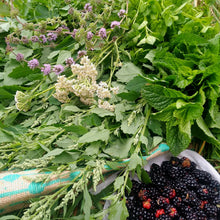 Load image into Gallery viewer, Bespoke Foraging Session - Private Group - Homegrown Botanica
