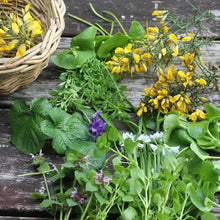 Load image into Gallery viewer, Bespoke Foraging Session - Private Group - Homegrown Botanica
