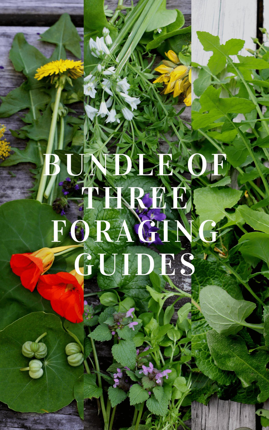 BUNDLE of 3 x Foraging Guides ~ Edible Weeds focus - Homegrown Botanica