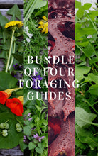 Load image into Gallery viewer, BUNDLE of 4 x Foraging Guides ~ Edible Weeds + Trees - Homegrown Botanica
