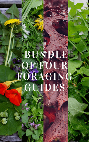 BUNDLE of 4 x Foraging Guides ~ Edible Weeds + Trees - Homegrown Botanica